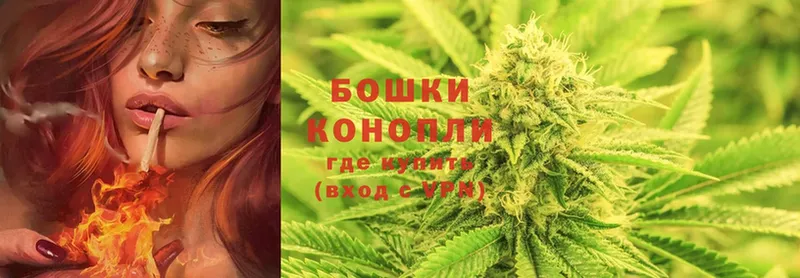 Бошки Шишки SATIVA & INDICA  Электрогорск 